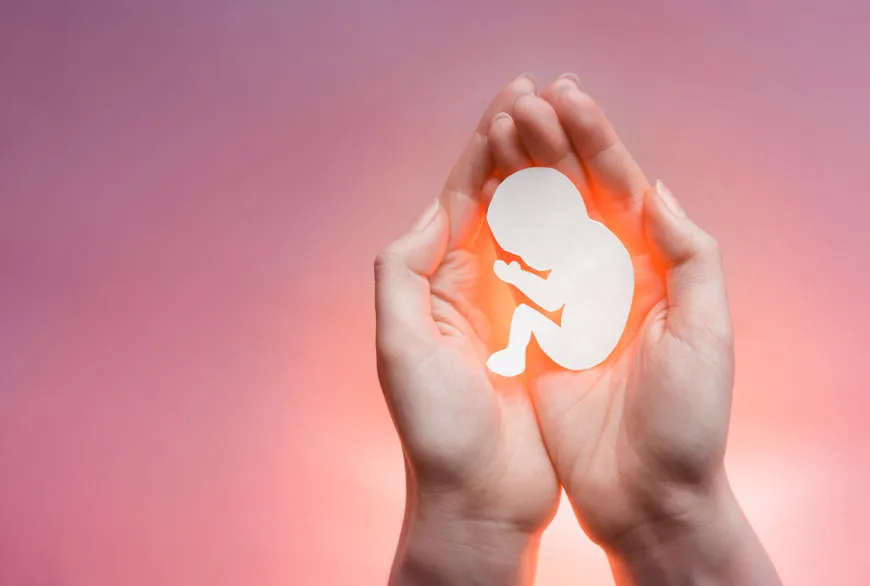 Quando começa a vida para considerarmos um aborto no Brasil
